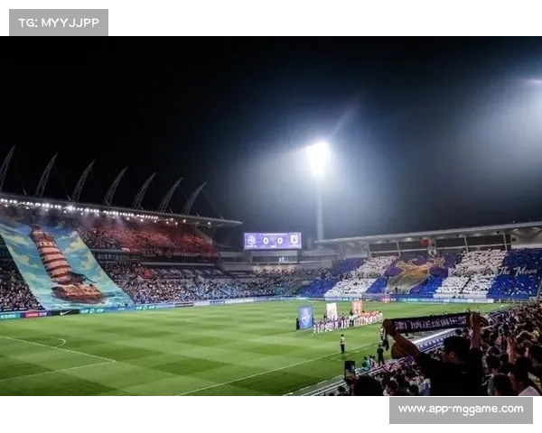 球迷文化双刃剑：激情助威与过度极端行为界限